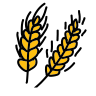 zeikos.gr